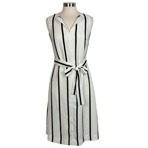 Banana Republic Bold Black & White Striped Sleeveless Dress